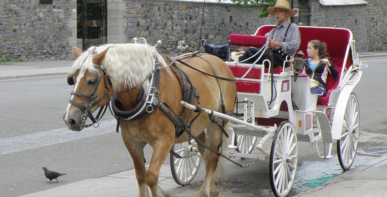 carriage