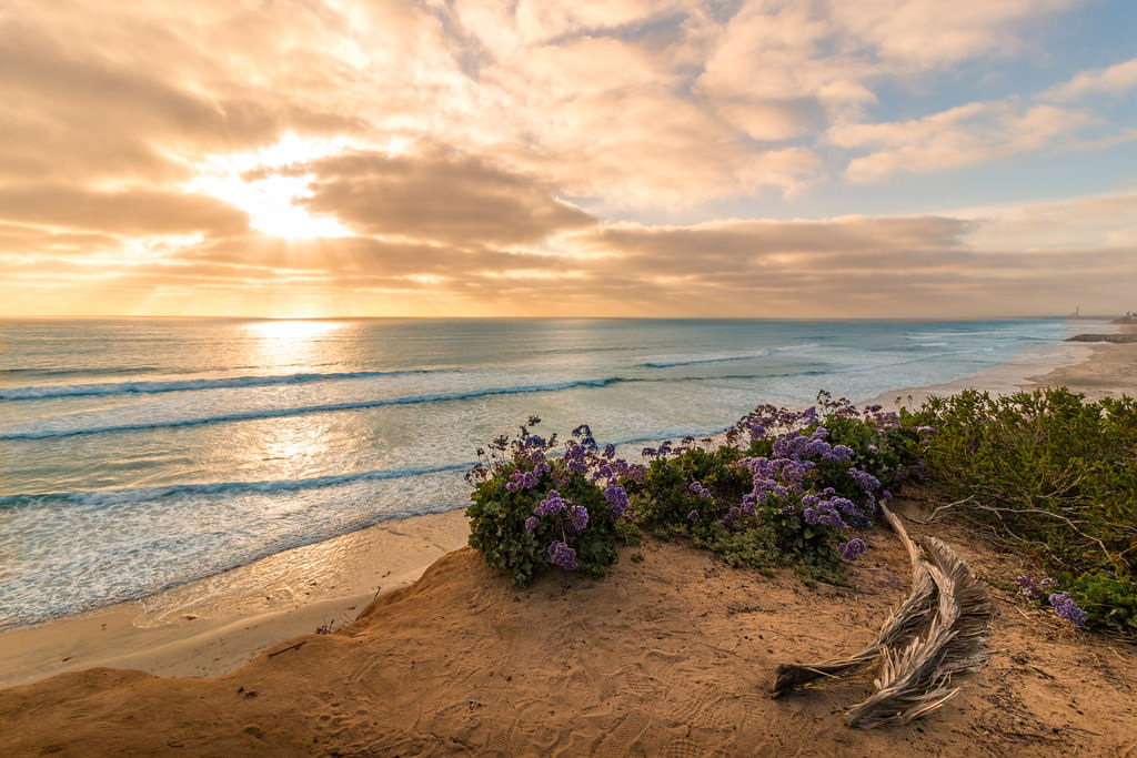 Beach in San Diego