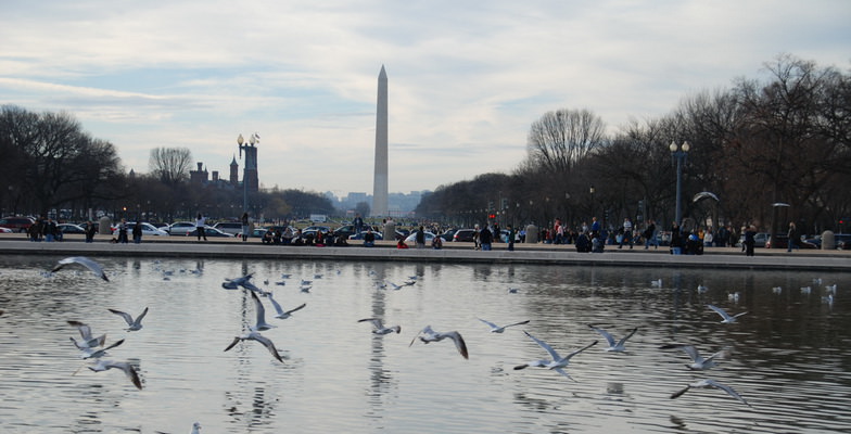 View of DC