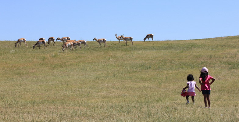 custer state park