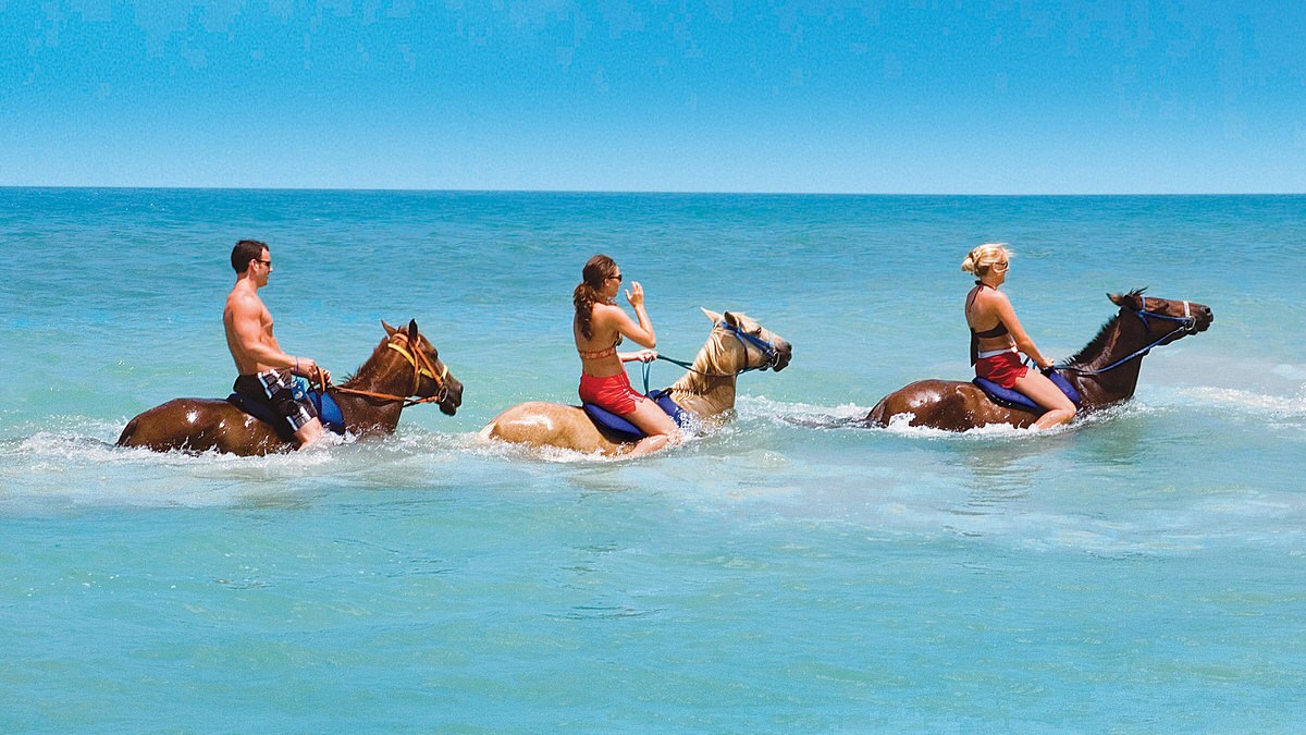 Horseback riding in Jamaica