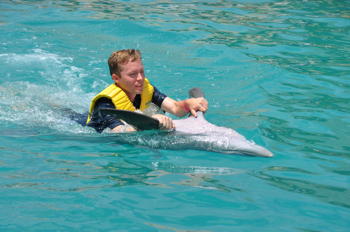 Dolphin ride in Cozumel