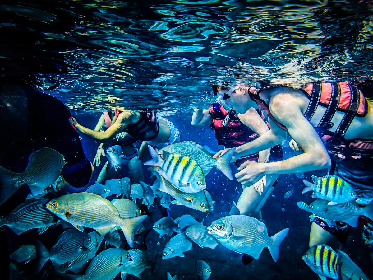 Cuba's Coral Beach is one of the country's most kid-friendly attractions.