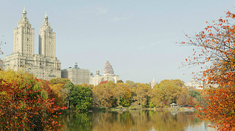 Central Park