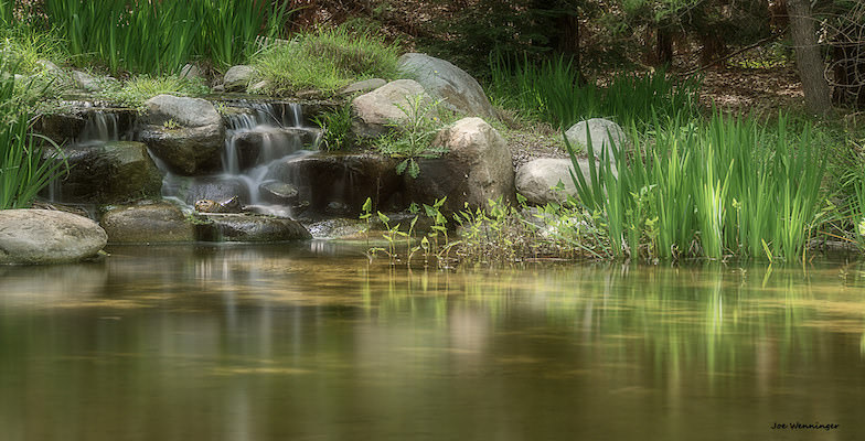 Kid-friendly Botanical Gardens: Descanso Gardens