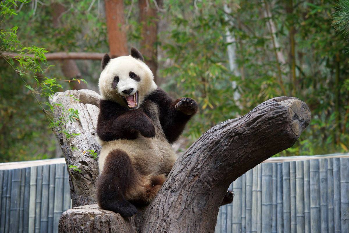 San Diego Zoo