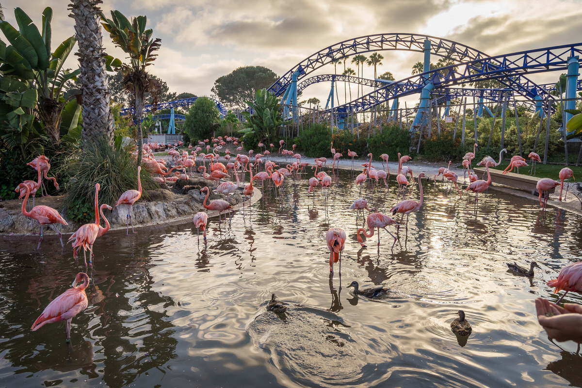 SeaWorld San Diego