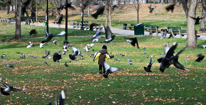 boston common