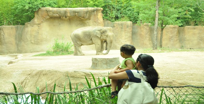 St. Louis Zoo