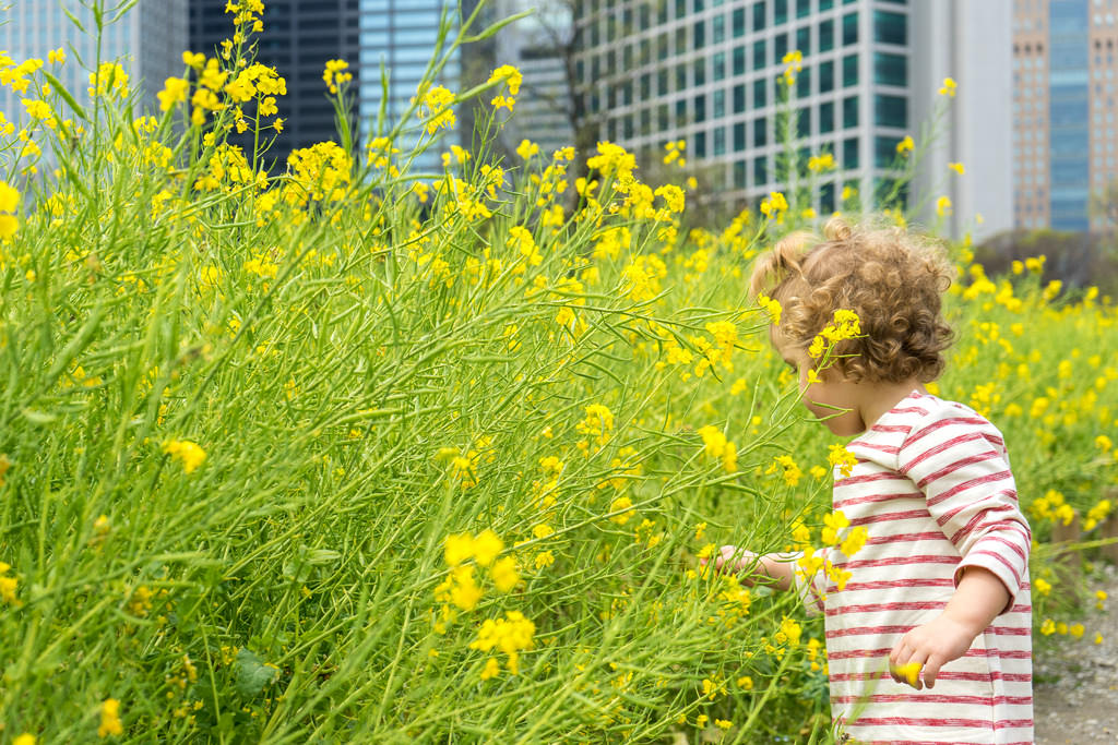 Consider a trip to beautiful Tokyo for a last minute vacation before the kids head back to school.