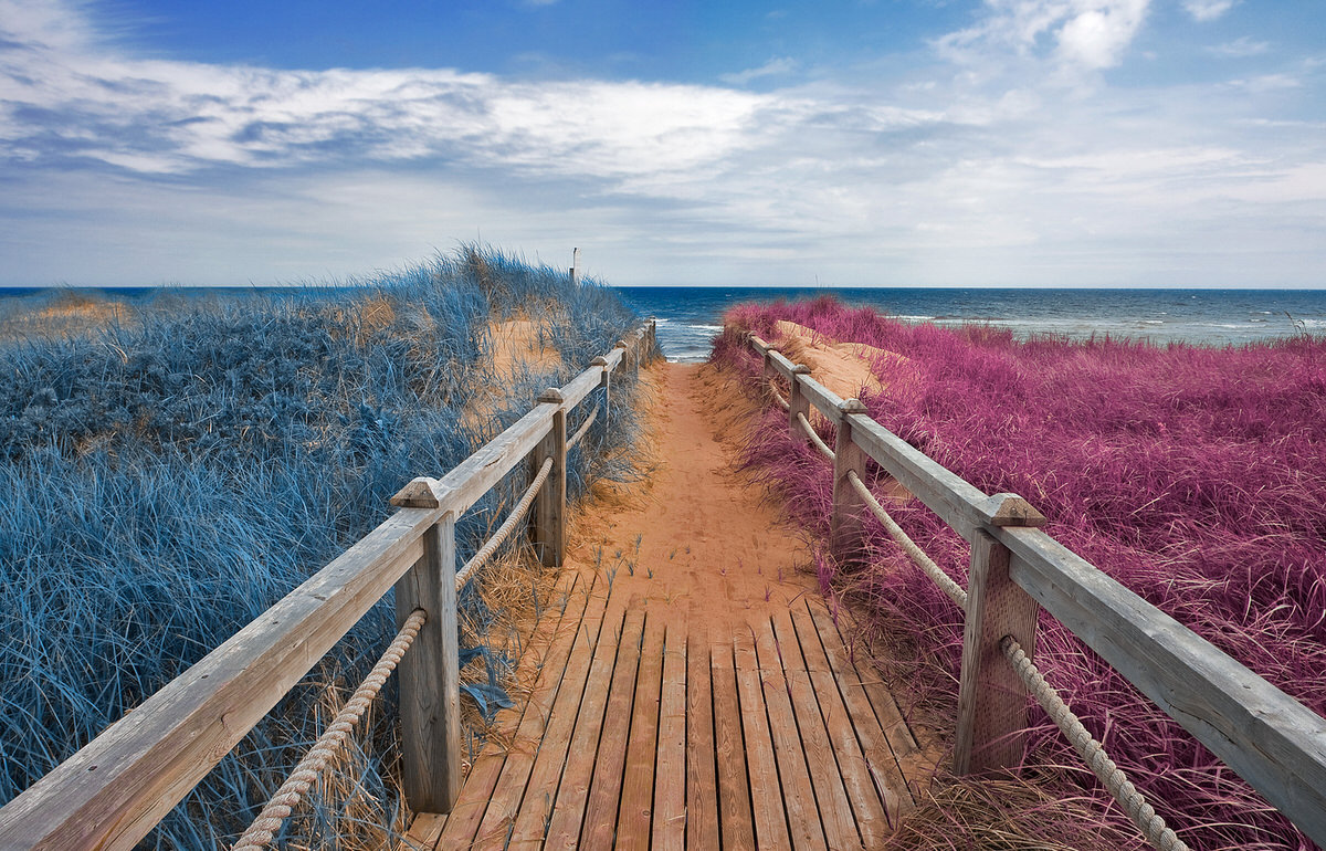 Beach boardwalk in Prince Edward Island