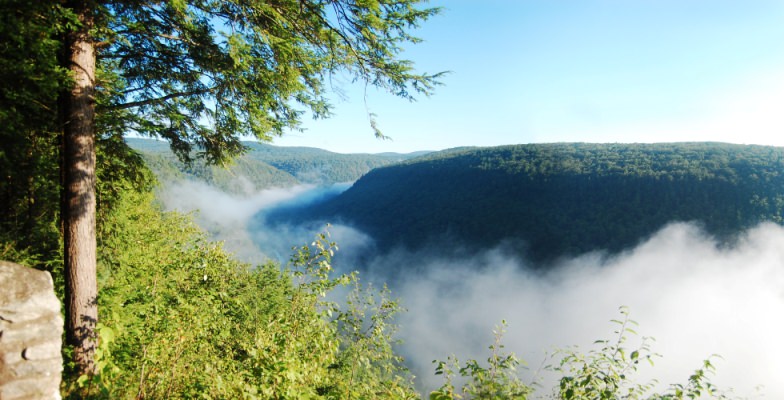 Grand Canyon of Tennessee