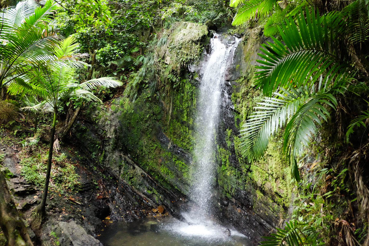 Waterfalls in El Yunque