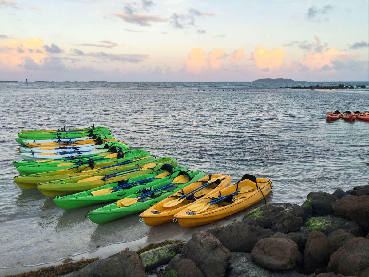 Kayaks for the Bioluminescent Bay excursion