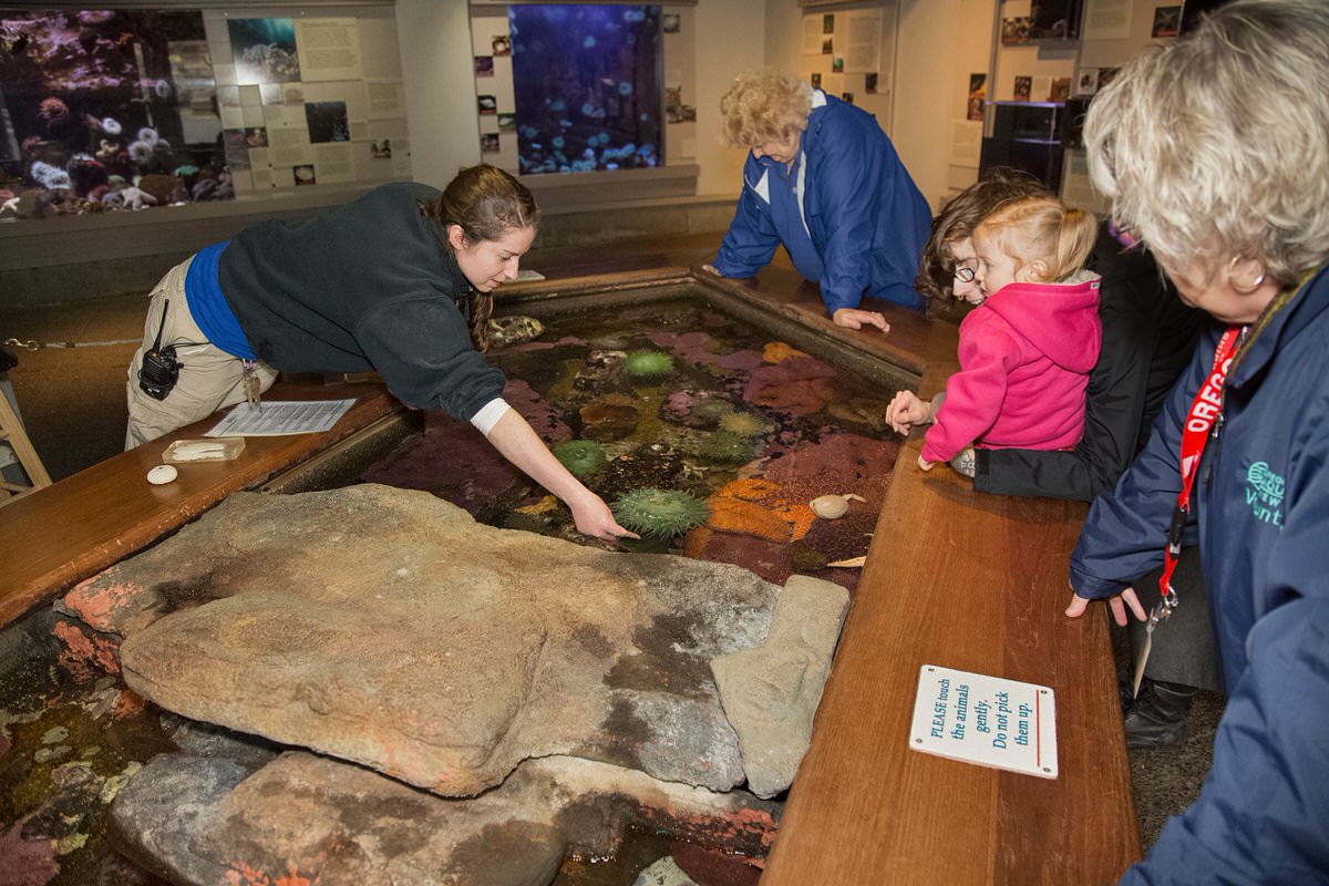 The Oregon Coast Aquarium is one of the best attractions in the Pacific Northwest for families.