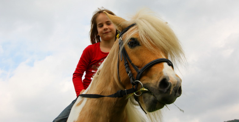 horseback