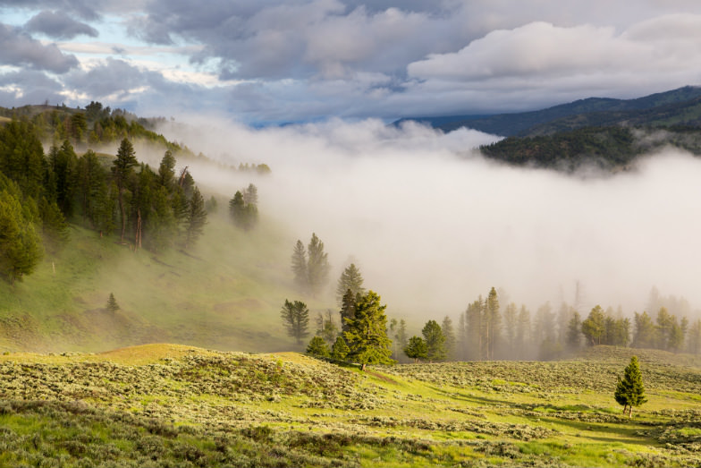 Yellowstone National Park