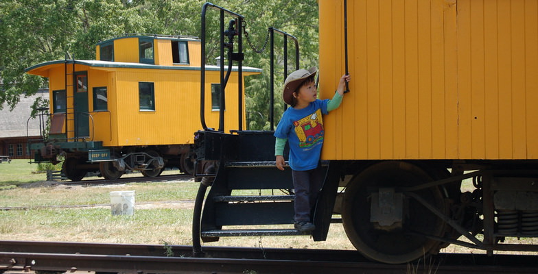 a day at roaring camp