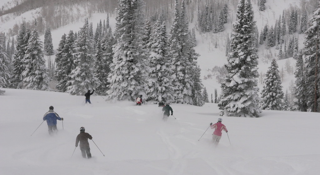 Skiing Through a Glade