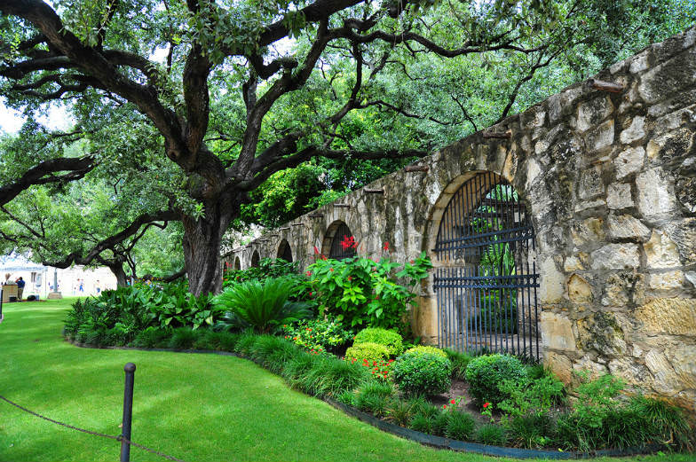 The Alamo Courtyard
