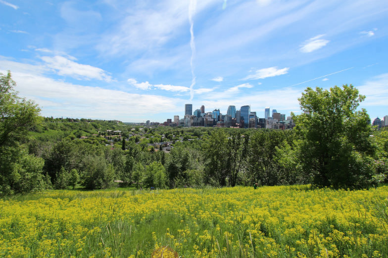 The city of Calgary in Alberta