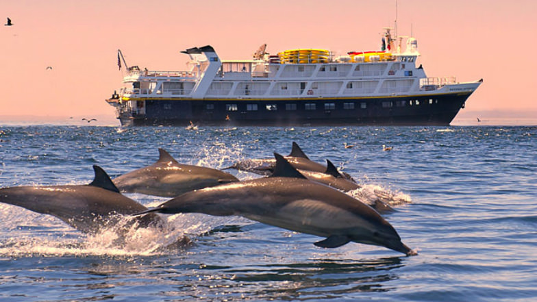 Expeditions cruise ship to Baja California