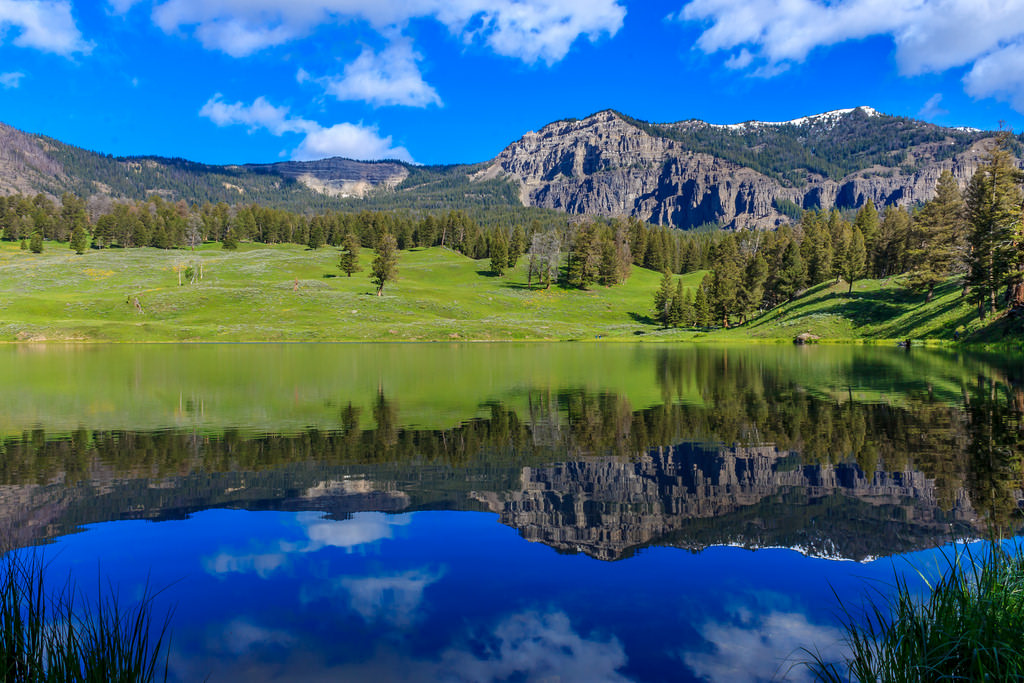 Yellowstone National Park