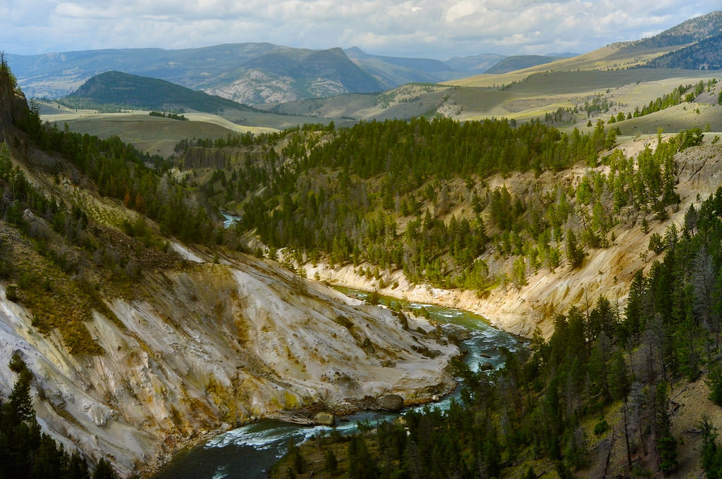 Grand Canyon of Yellowstone