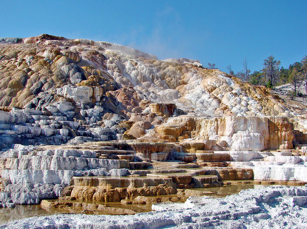 Nature's Sculpture, Mammoth Hot Springs