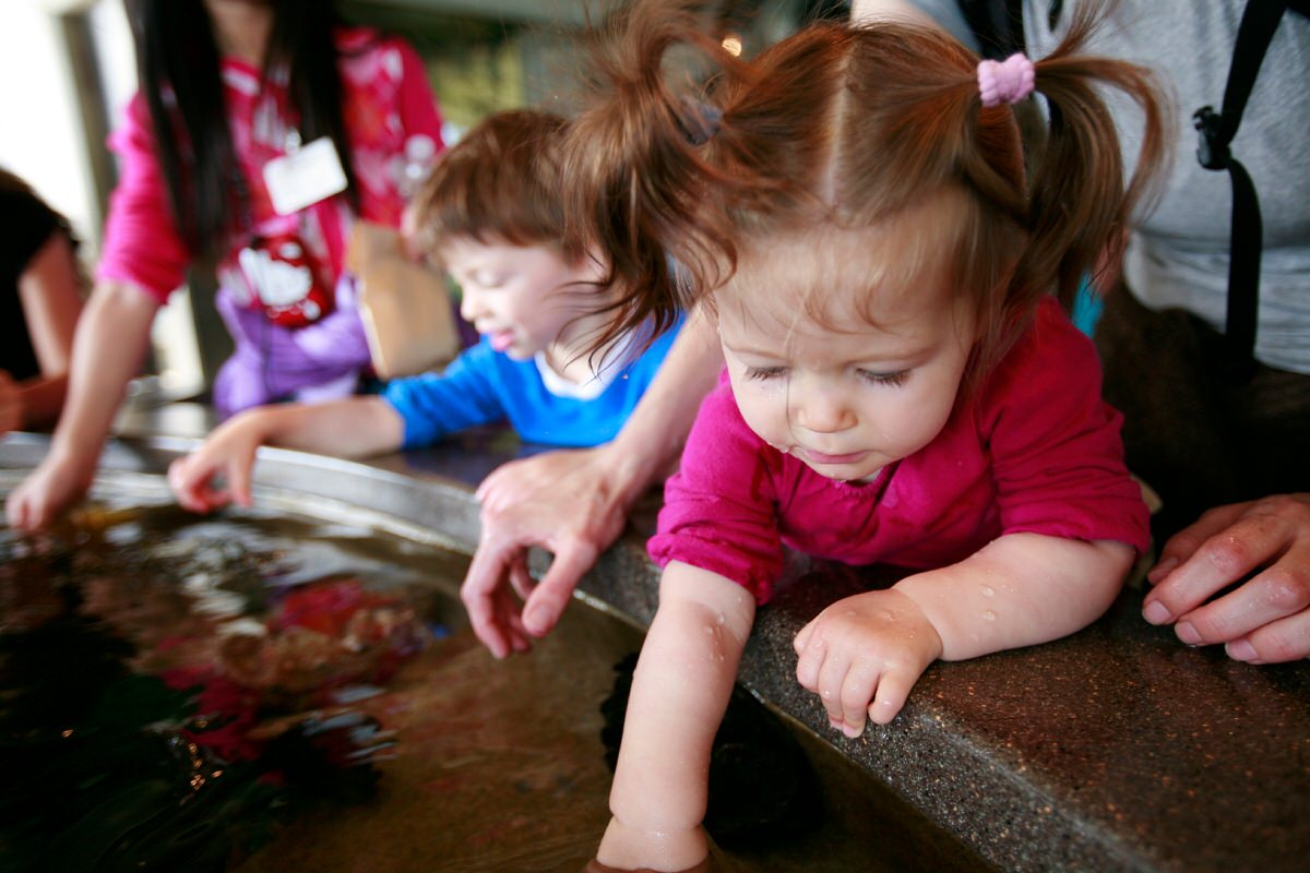 Monterey Bay Aquarium