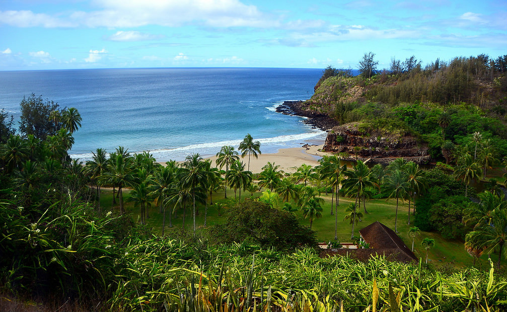 Allerton Garden in Kauai