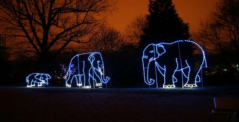 best holiday zoolight celebrations at zoos